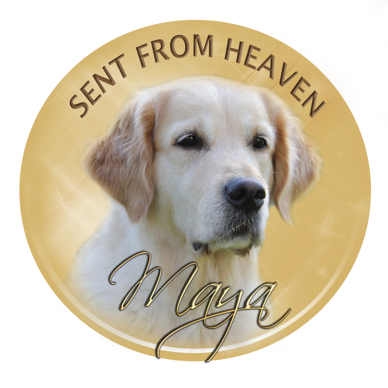 Maya