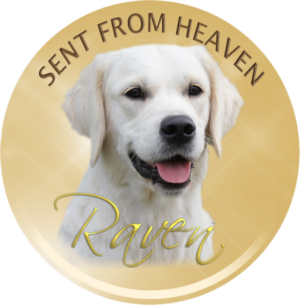 Raven