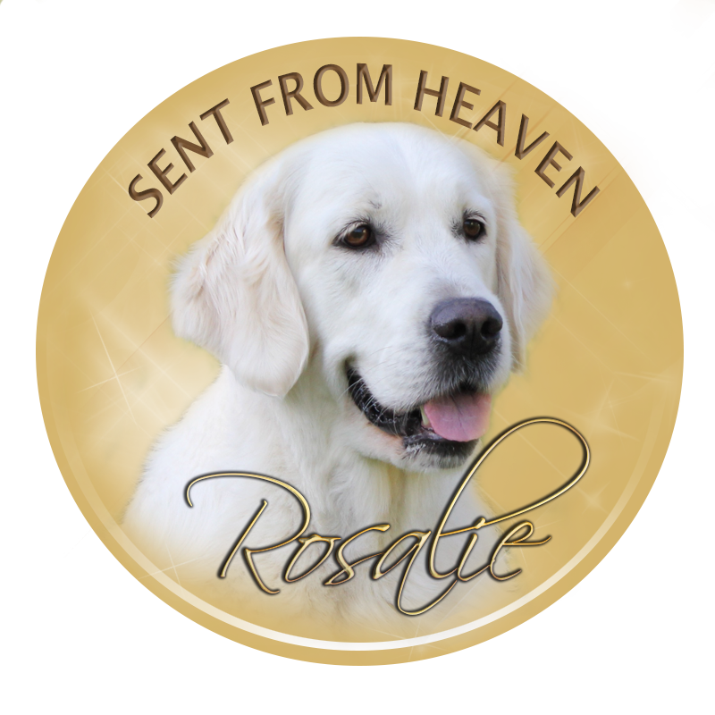 Rosalie