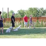 IMG_2727.JPG